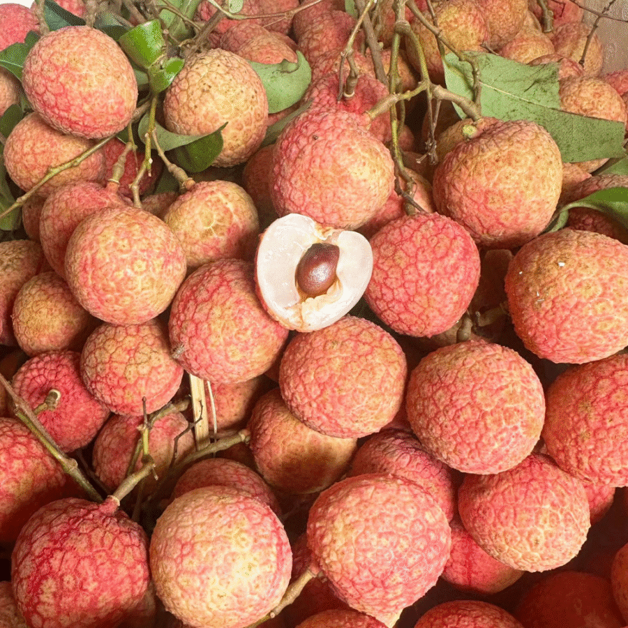 Lychee - Image 13