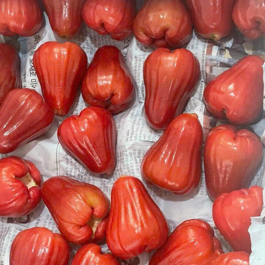 Rose Apple - Image 10