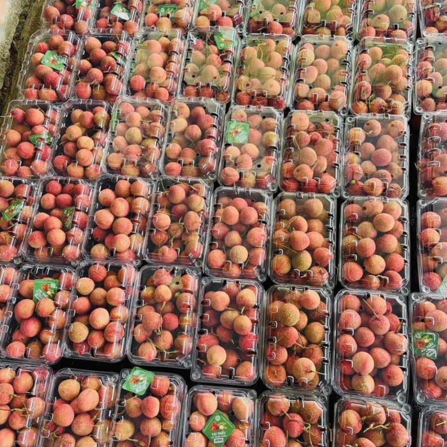 Lychee - Image 7